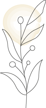 pflanze beige
